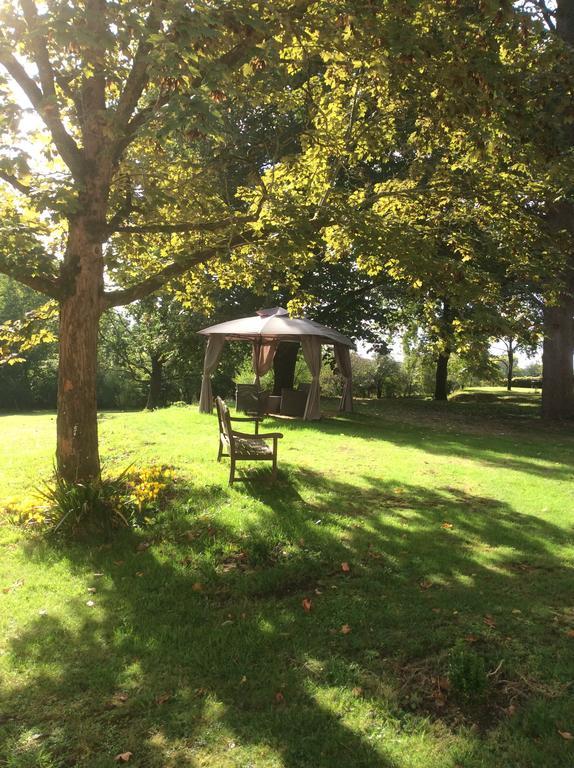 Bed and Breakfast Le Chalet De Luxe Saint-Severin Екстер'єр фото